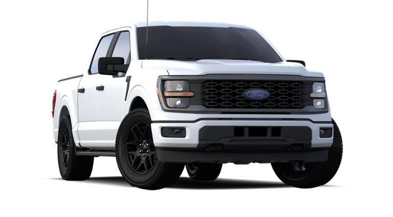 2024 Ford F-150 Vehicle Photo in Weatherford, TX 76087-8771